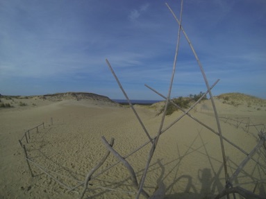 View across Dead Dunes